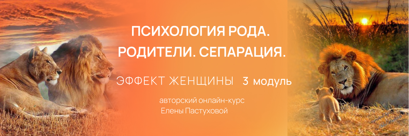 ЭФФЕКТ ЖЕНЩИНЫ 3 модуль
